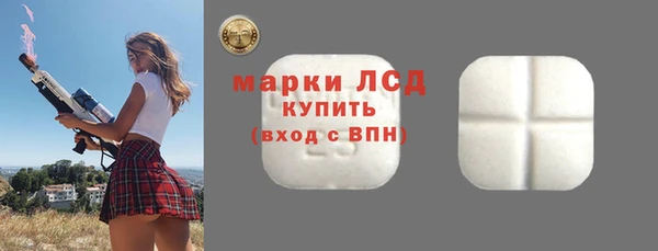 ГАЛЛЮЦИНОГЕННЫЕ ГРИБЫ Вяземский
