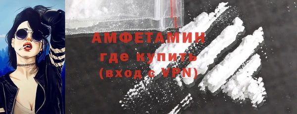 ГАЛЛЮЦИНОГЕННЫЕ ГРИБЫ Вяземский