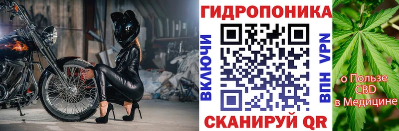 Купить где  Карабулак  Бошки Шишки гибрид 